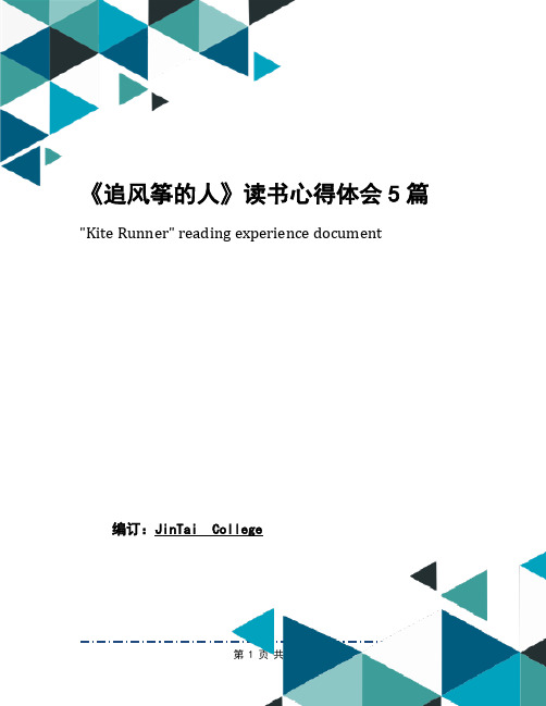 《追风筝的人》读书心得体会5篇