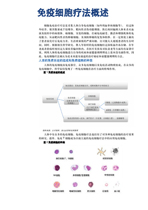 免疫细胞疗法概述