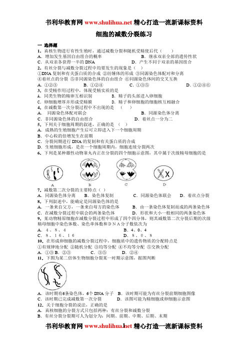 减数分裂和受精作用专题和答案