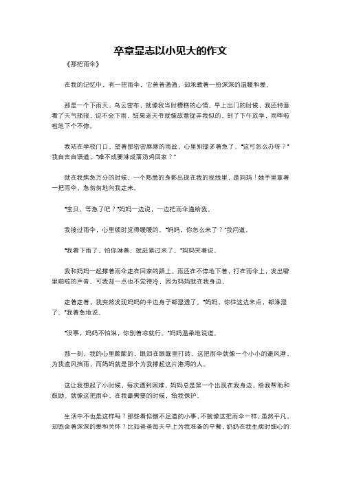 卒章显志以小见大的作文