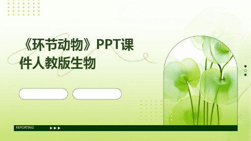 《环节动物》PPT课件人教版生物