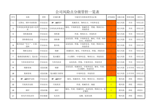 公司风险点分级管控一览表