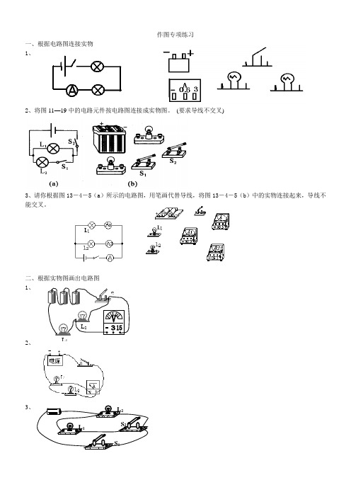 电路图作图专项练习