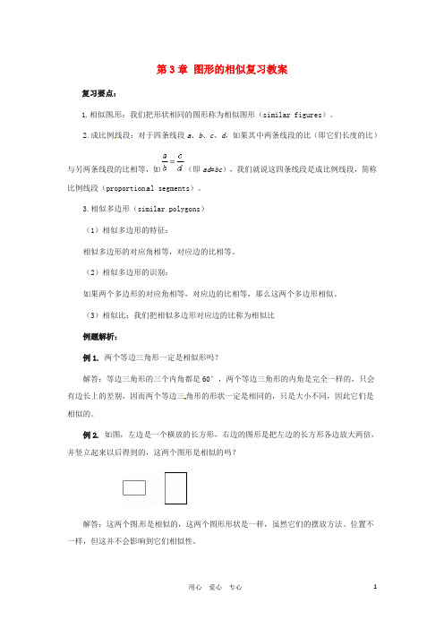九年级数学上册 第三章图形的相似复习教案 湘教版【教案】