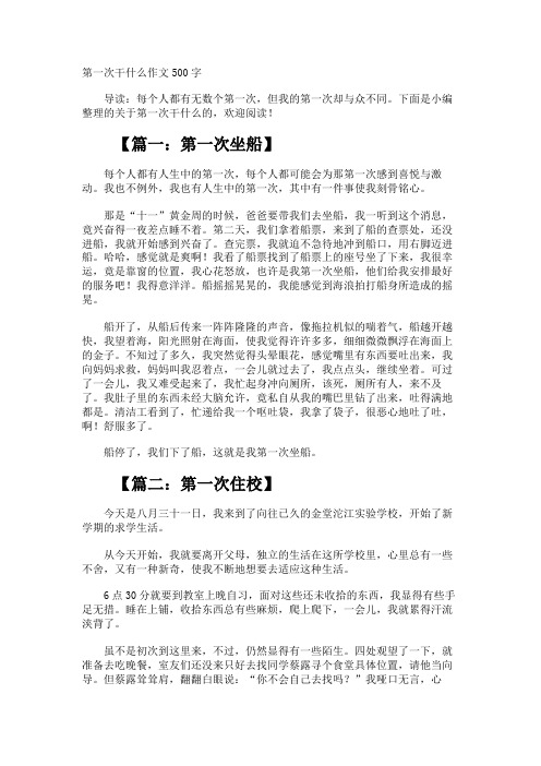 第一次干什么作文500字