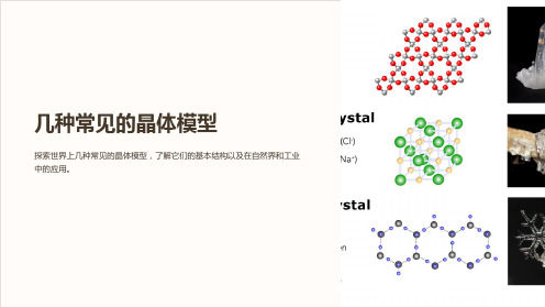 几种常见的晶体模型