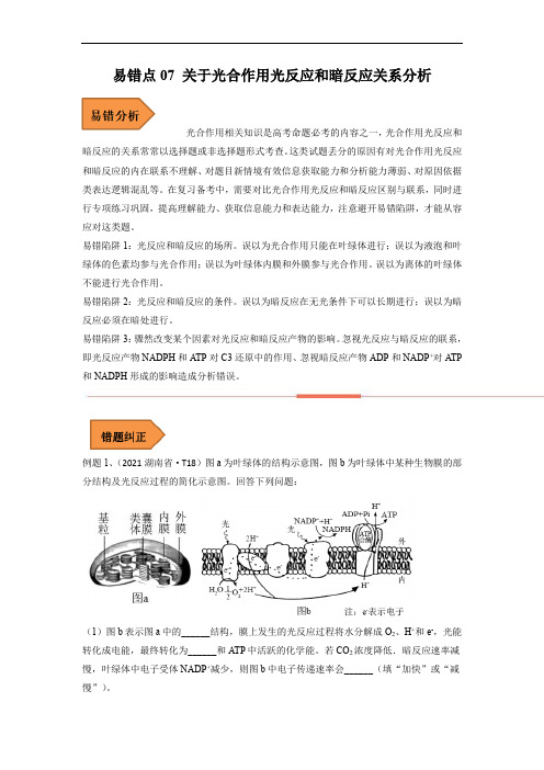 易错点07 关于光合作用光反应和暗反应关系分析-备战高考生物考试易错题(全国通用)(解析版)