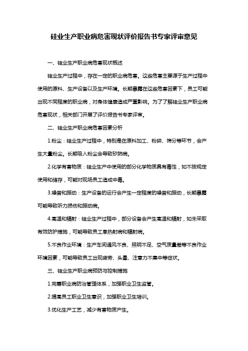 硅业生产职业病危害现状评价报告书专家评审意见