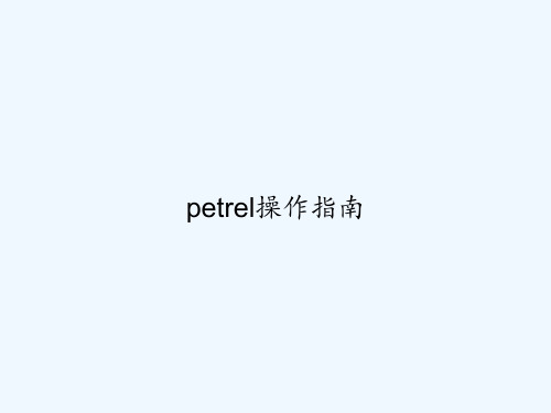 petrel操作指南 PPT