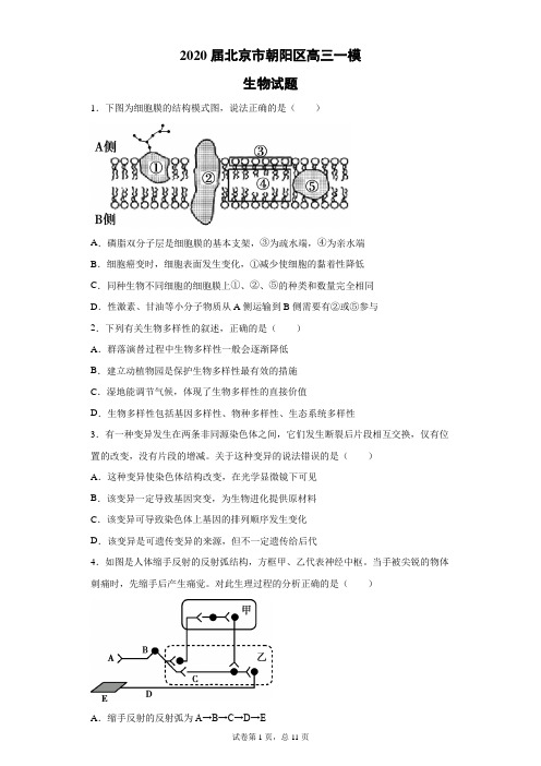 2020届北京市朝阳区高三一模生物试题(带答案解析)