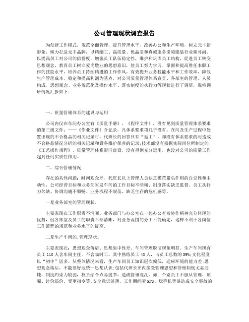 公司管理现状调查报告