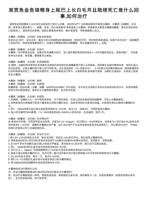 观赏鱼金鱼锦鲤身上尾巴上长白毛并且陆续死亡是什么回事,如何治疗