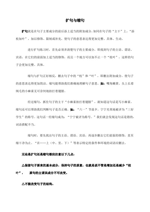 小升初扩句与缩句详细讲解及练习含答案