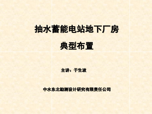 抽水蓄能电站地下厂房典型布置培训课件