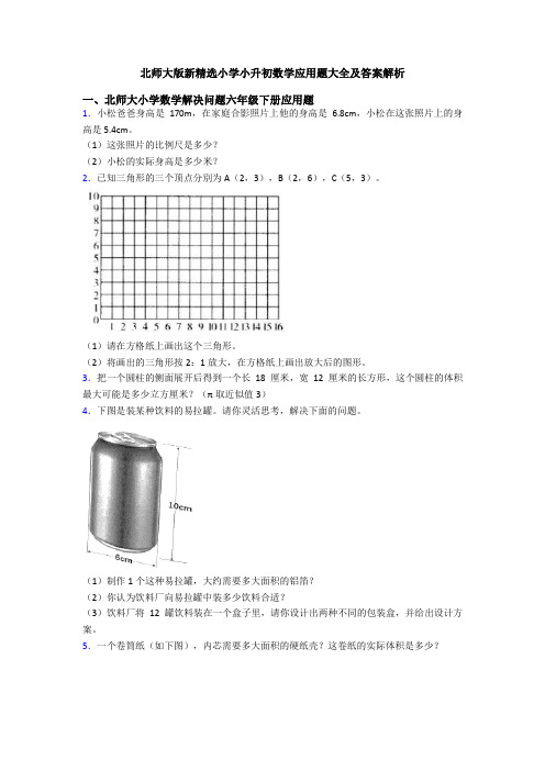 北师大版新精选小学小升初数学应用题大全及答案解析