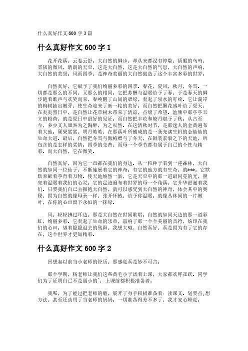 什么真好作文600字3篇