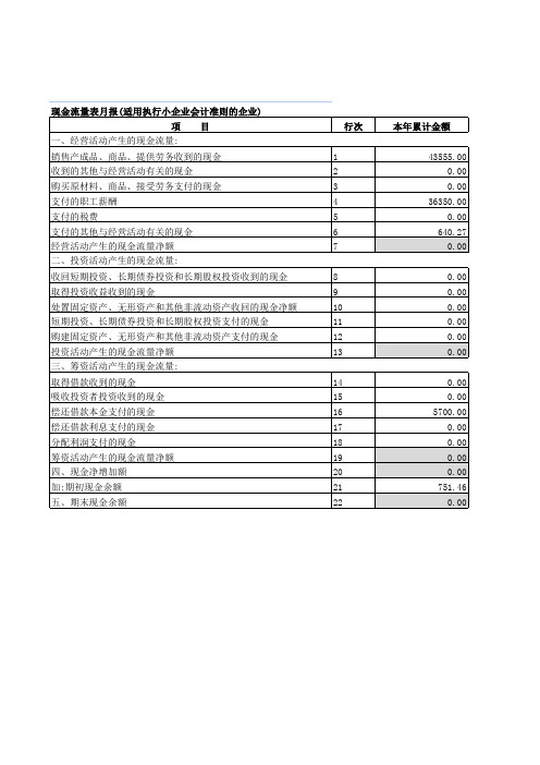 财务报表(小企业会计准则)_现金流量表月报