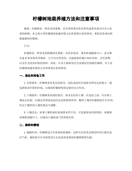 柠檬树地栽养殖方法和注意事项