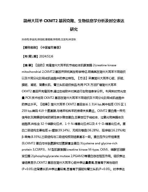 简州大耳羊CKMT2基因克隆、生物信息学分析及时空表达研究