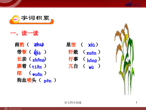 (最新修订)新课标初中语文教学课件:19 范进中举(人教版九年级上)_11-15