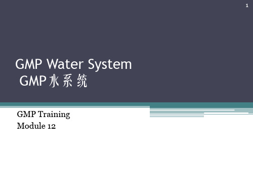 GMPWaterSystem(cGMP培训系列1)