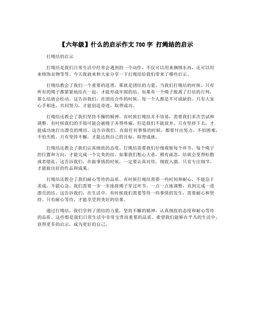 【六年级】什么的启示作文700字 打绳结的启示