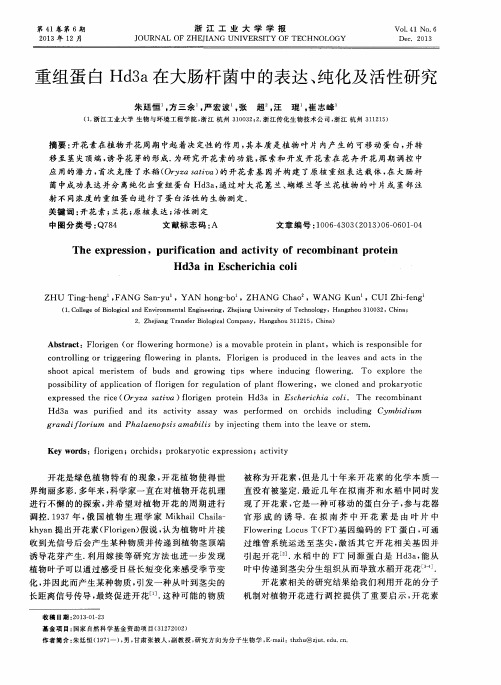 重组蛋白Hd3a在大肠杆菌中的表达、纯化及活性研究