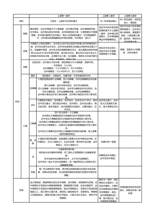 4.上颌磨牙