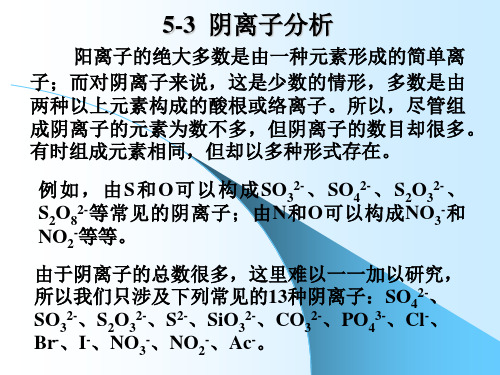 分析化学中定性分析-阴离子