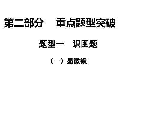 初中生物  中考生物复习：识图题(9份) 人教版精品课件