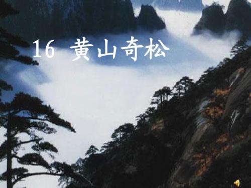 16 《黄山奇松》课件