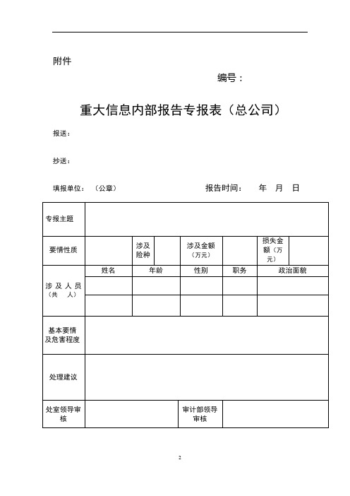 重大信息内部报告 审计事实确认书(模板)