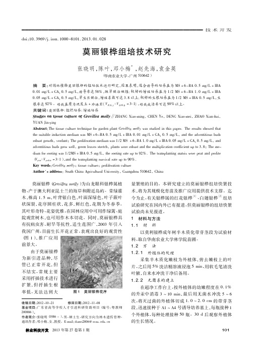 莫丽银桦组培技术研究