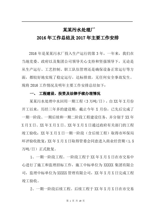 某某污水2016年工作总结和2017年主要工作安排最终