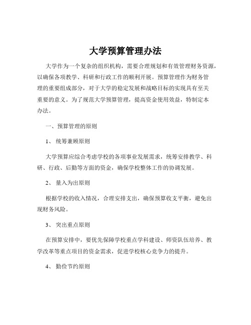 大学预算管理办法