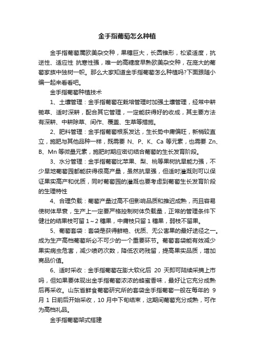 金手指葡萄怎么种植