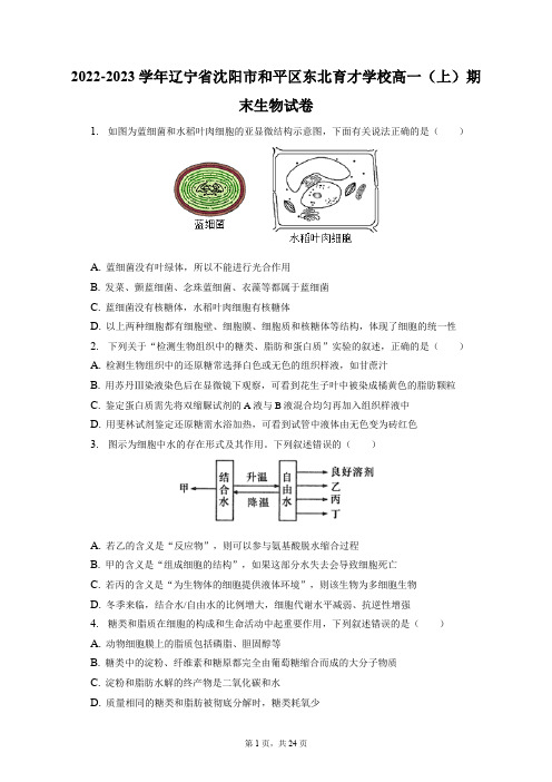 2022-2023学年辽宁省沈阳市和平区东北育才学校高一(上)期末生物试卷(含答案解析)