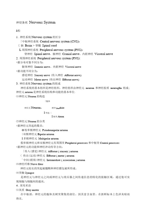 人体解剖学：系解笔记 终极版