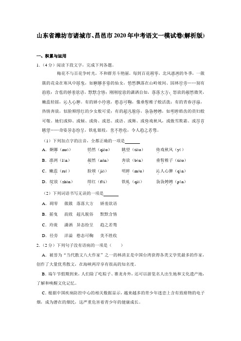 山东省潍坊市诸城市、昌邑市2020年九年级中考语文一模试卷(解析版)