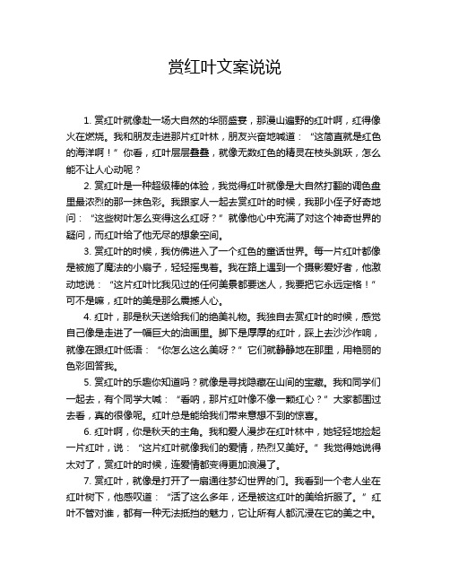 赏红叶文案说说