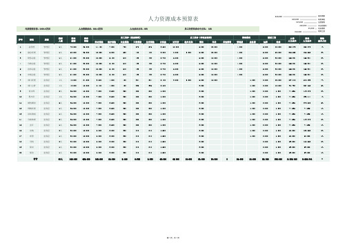 企业人力资源成本预算表