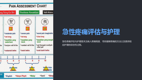 急性疼痛评估与护理