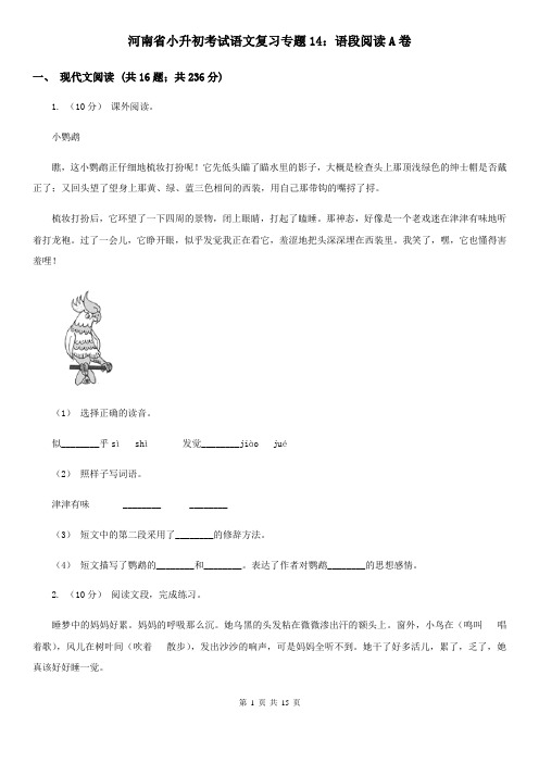 河南省小升初考试语文复习专题14：语段阅读A卷