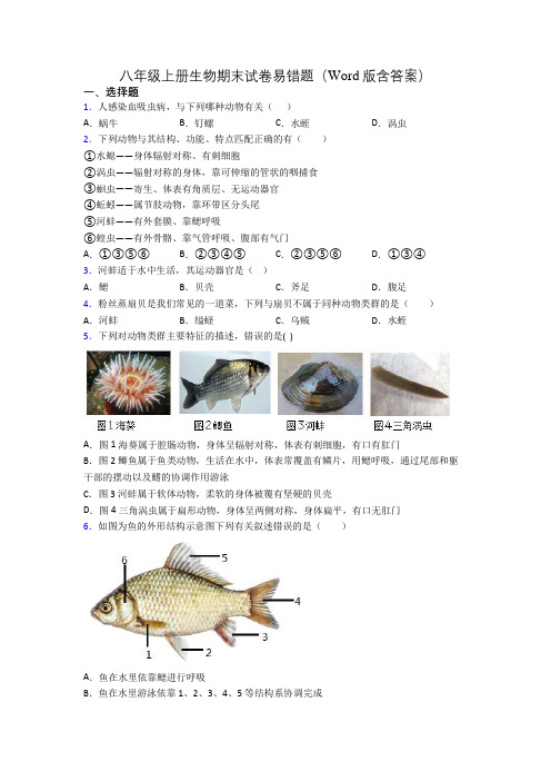 八年级上册生物期末试卷易错题(Word版含答案)[005]