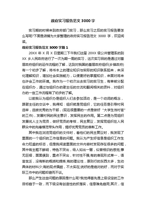 政府实习报告范文3000字