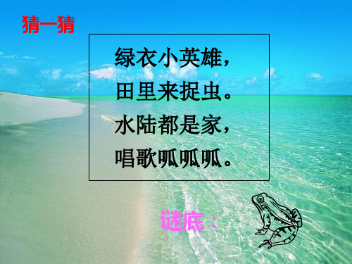 一年级下册语文课件-识字1.3小青蛙|人教部编版(共42张PPT)
