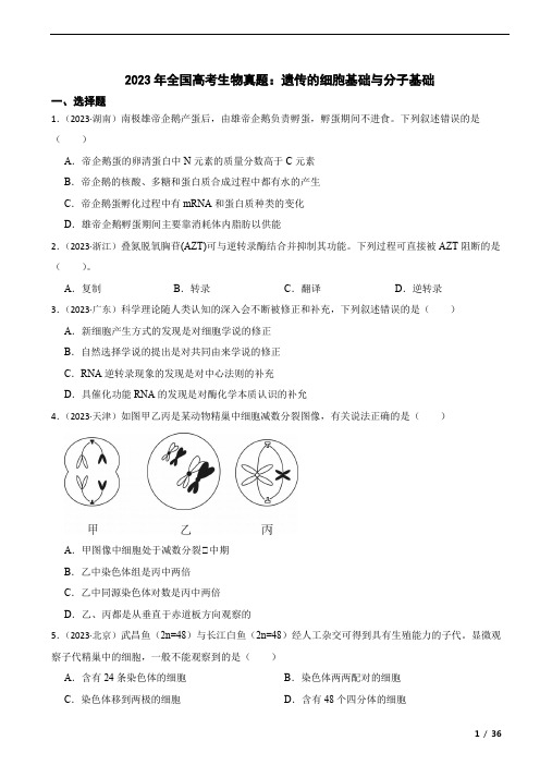 2023年高考生物真题分类：遗传的细胞基础与分子基础(全国通用)