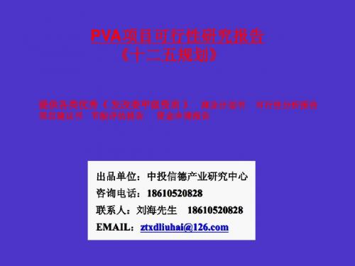 PVA项目可行性研究报告