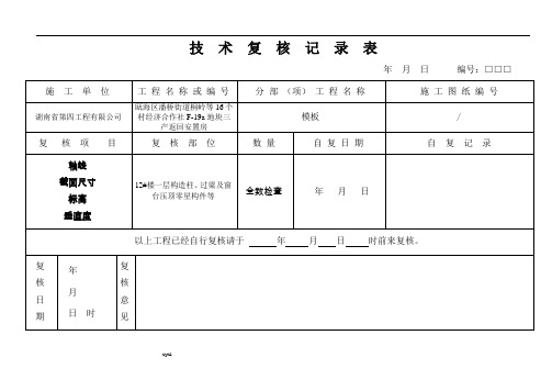 技术复核记录表(模板)