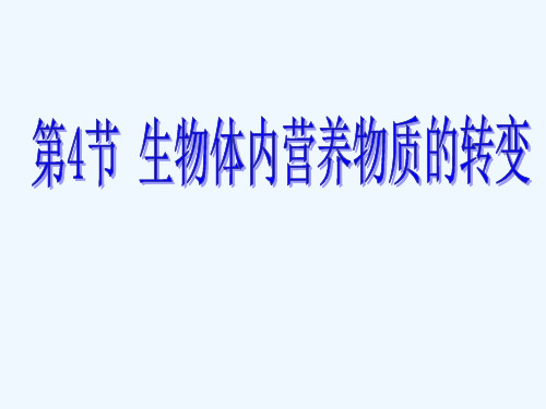 糖类代谢和脂肪代谢